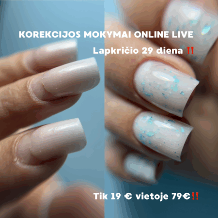 KOREKCIJOS MOKYMAI ONLINE LIVE